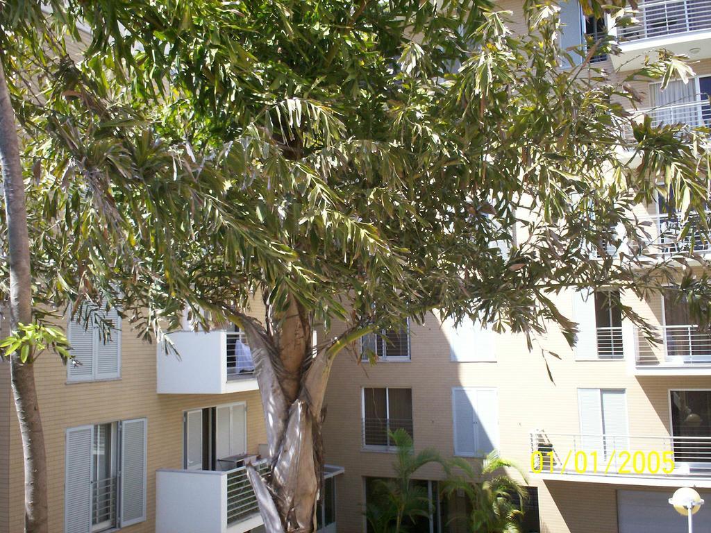 Apartamento Lido - Casa Branca Funchal (Madeira)